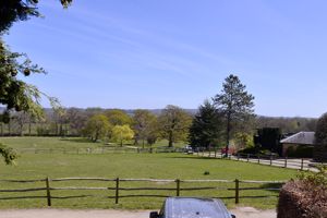 Photo 11- click for photo gallery